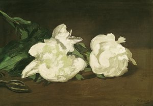 सफेद Peonies और Secateurs की शाखा, 1864